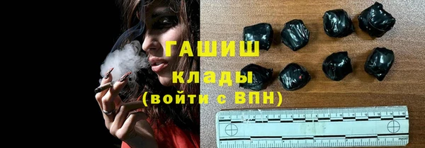 индика Медногорск