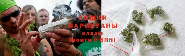 индика Медногорск