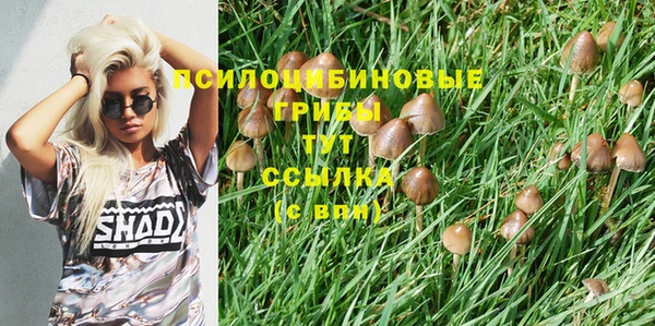 стафф Медвежьегорск