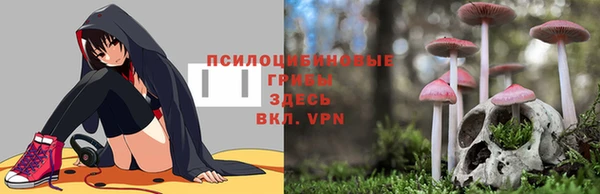 индика Медногорск