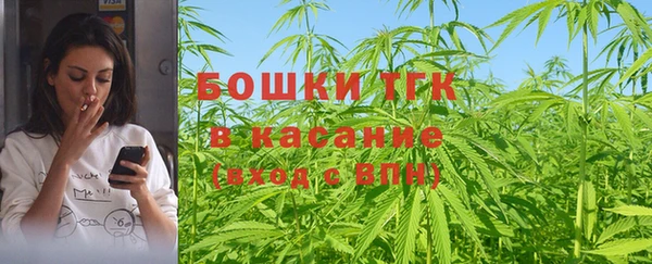 индика Медногорск