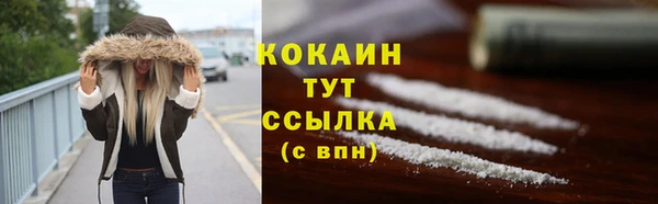 индика Медногорск