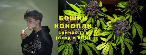 индика Медногорск
