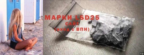 индика Медногорск