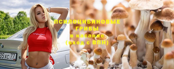 мяу мяу кристалл Мегион